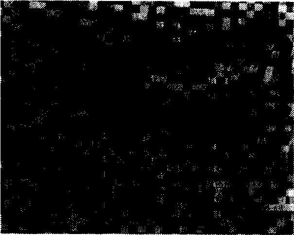 Method and equipment for realizes structured light in high performance based on uniqueness in field