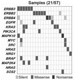 Targeted sequencing method for mutations in erbb signaling pathway for prognostic assessment of gallbladder cancer