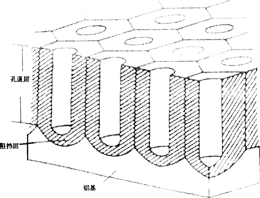 Process for preparing aperture-controllable alumina template