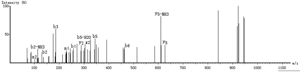 Dual-enzyme hydrolysis preparation method of anti-tumor polypeptides of spirulina