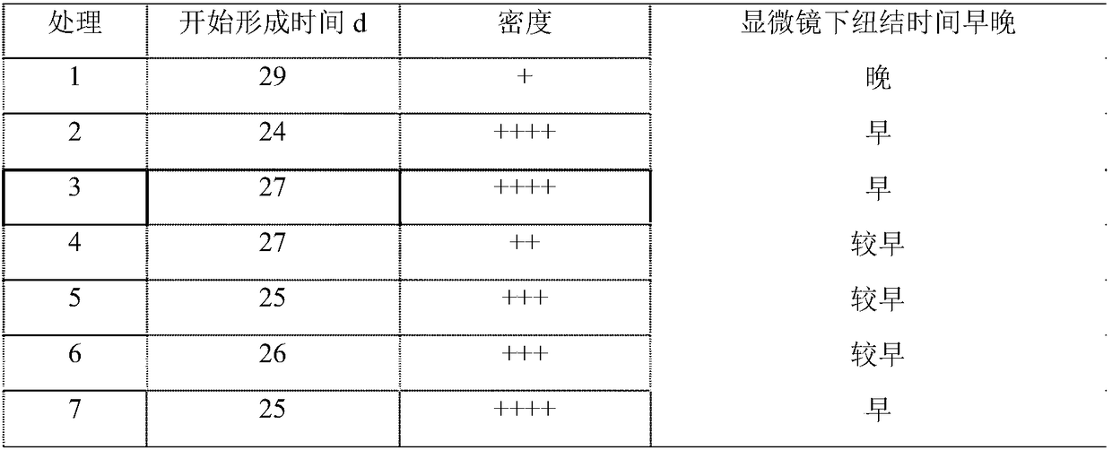 Microorganism seaweed liquid fertilizer for promoting growth of toadstool and application of microorganism seaweed liquid fertilizer