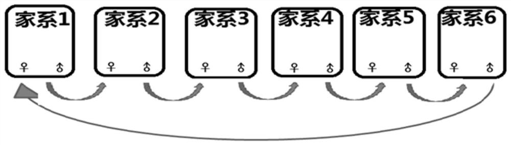 Breeding method of a new breed of Huanghuai mutton sheep