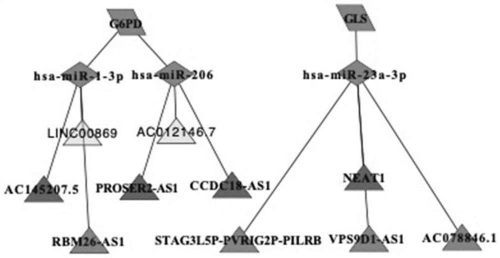 A novel micropeptide screened based on pan-cancer expression profile and its application