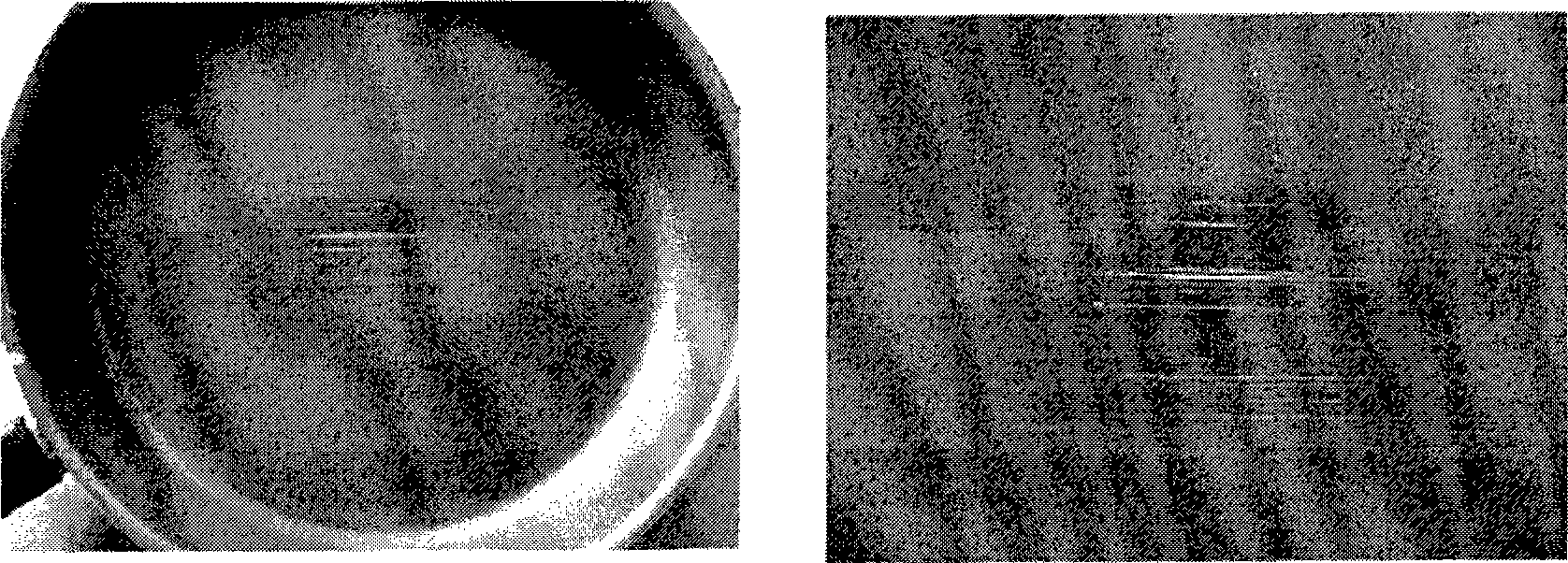 Coating composition, preparation method and application thereof