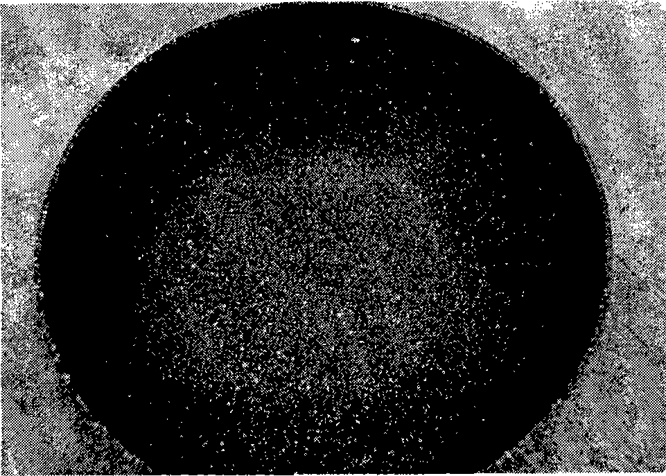 Coating composition, preparation method and application thereof