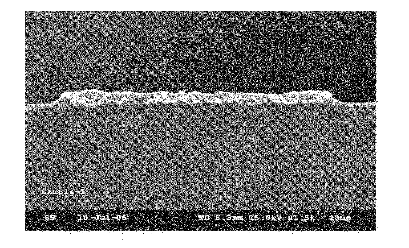 Photosensitive paste composition for fabricating the plasma display panel electrode, plasma display panel electrode and plasma display panel thereby