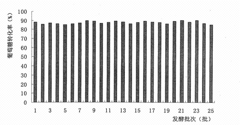 Novel technological process for producing high optical purity L-lactic acid by semi-continuous high-density fermentation of Rhizopus oryzae