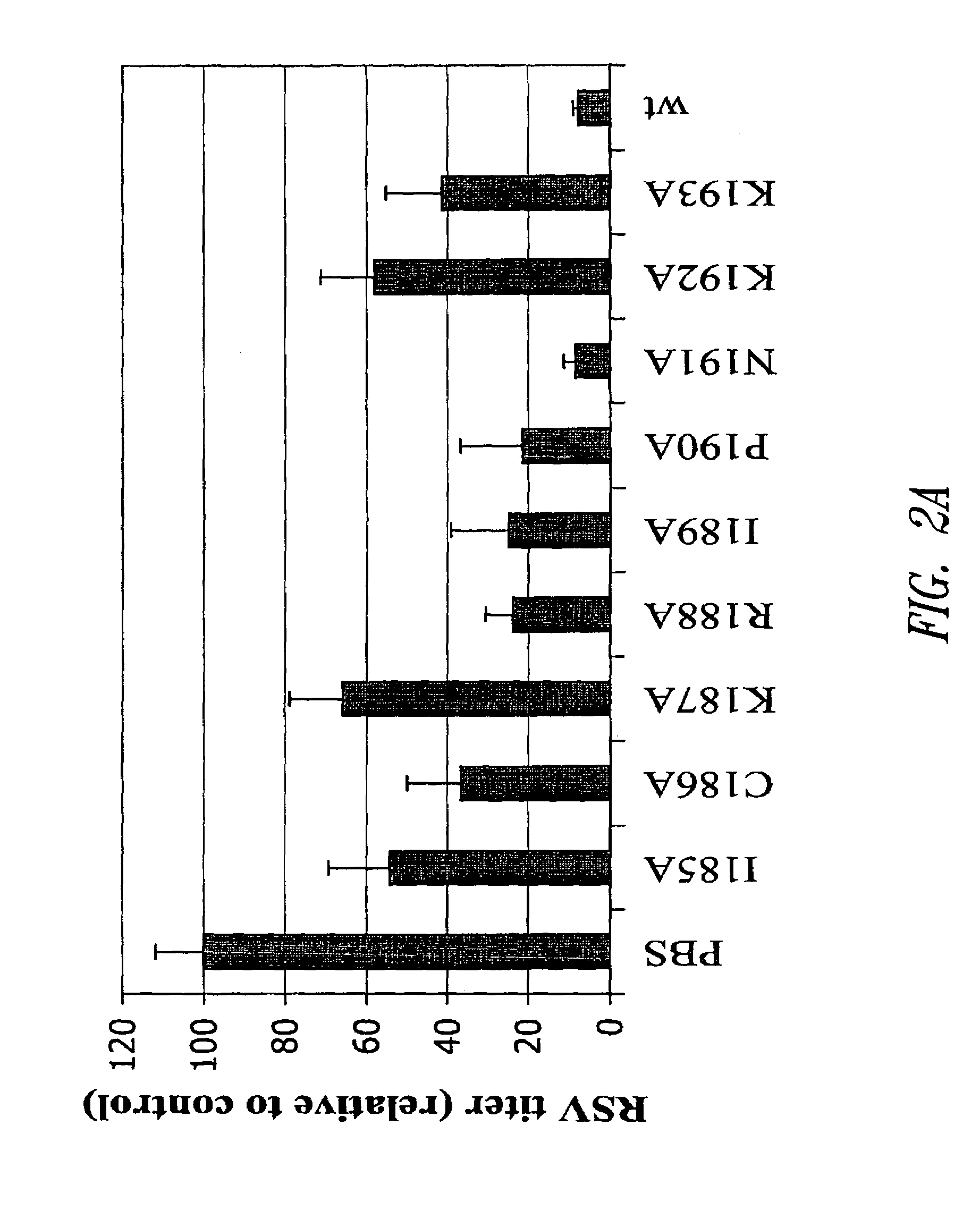 Subunit vaccine against respiratory syncytial virus infection