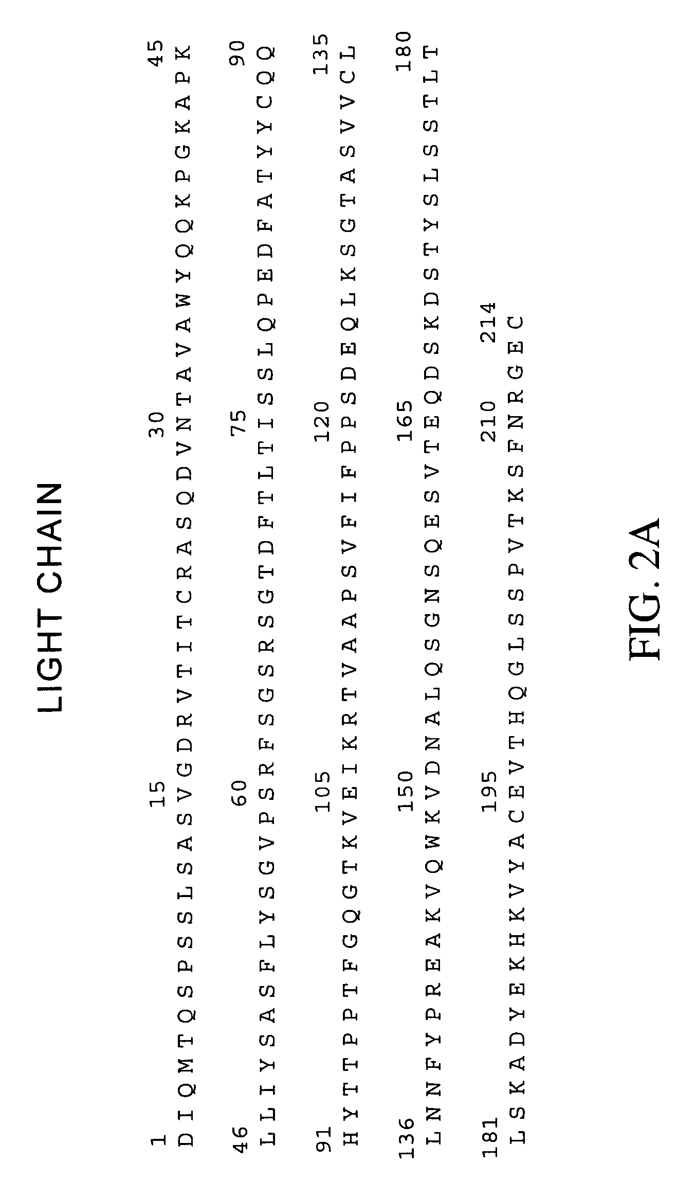 Anti-ERBB2 antibody adjuvant therapy