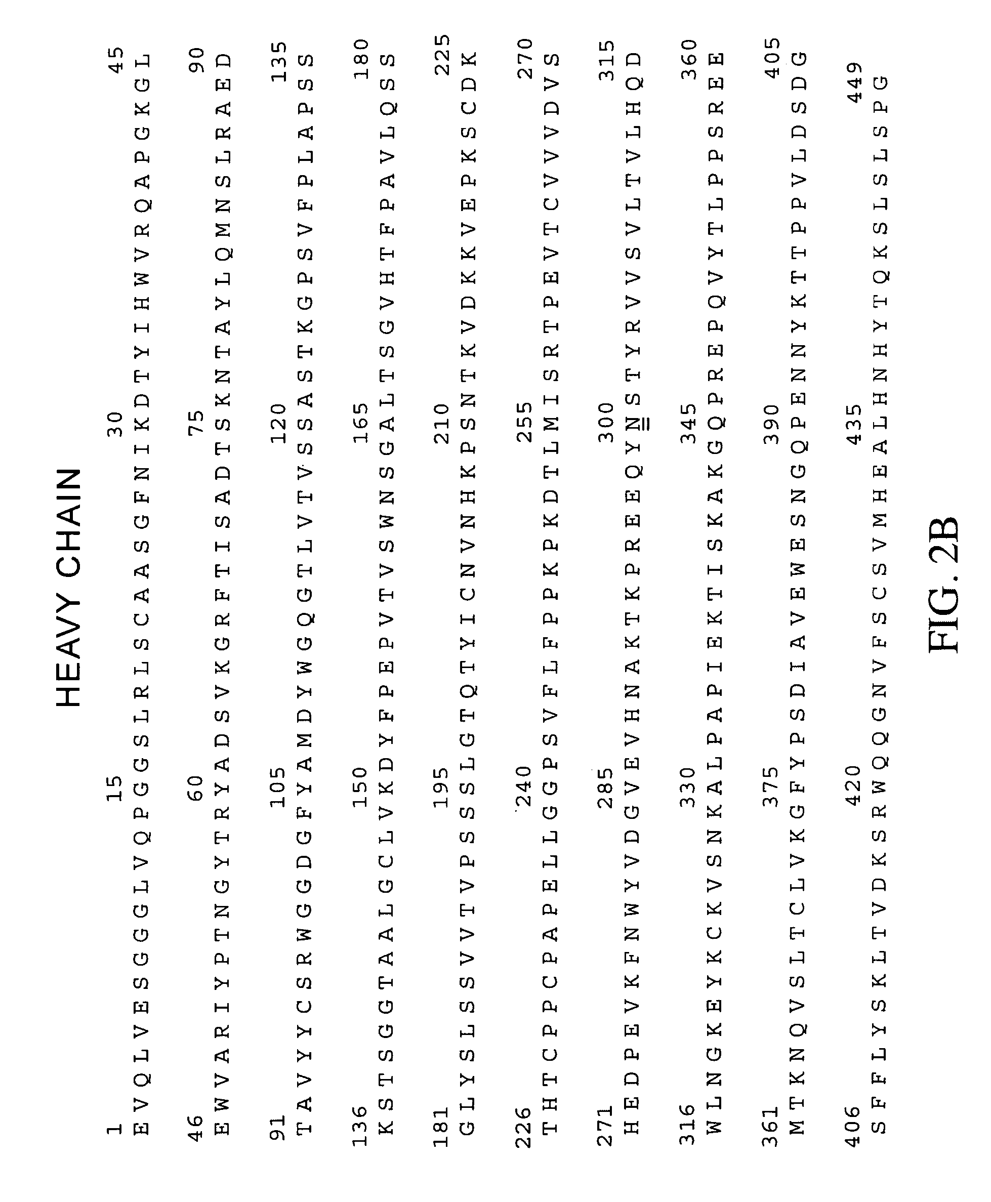 Anti-ERBB2 antibody adjuvant therapy