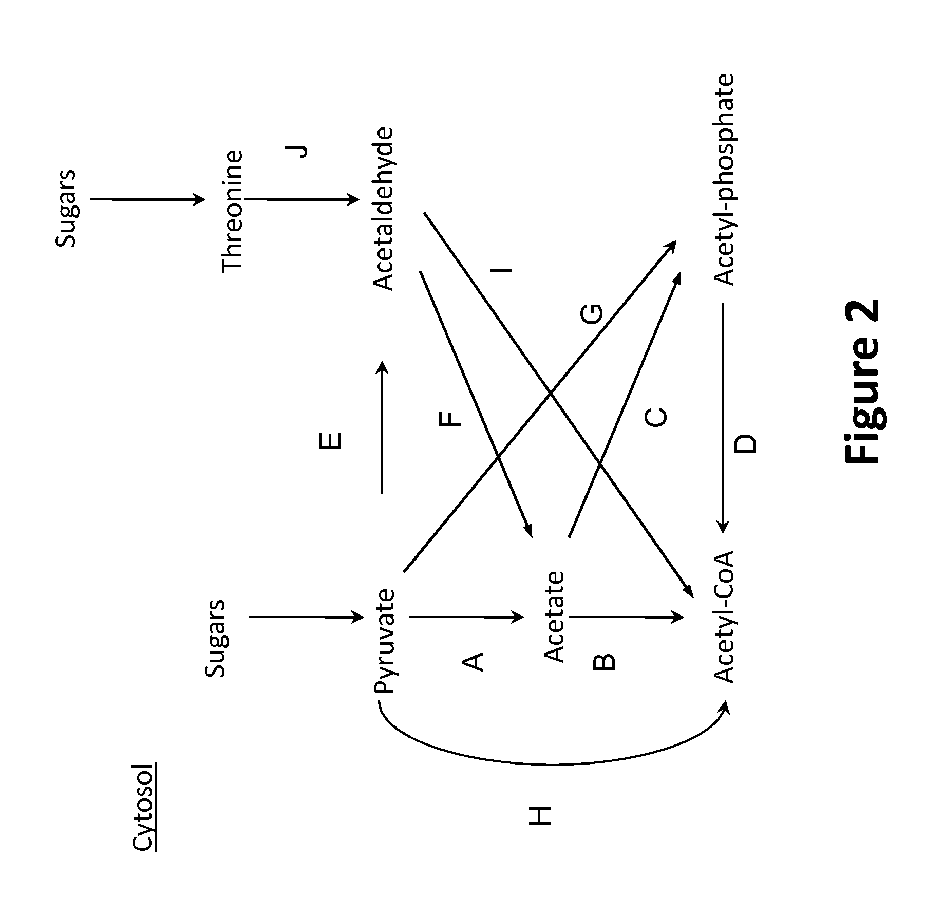 Microorganisms and methods for production of specific length fatty alcohols and related compounds