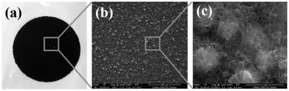 Porous carbon sphere packaged vanadium oxide heterogeneous core-shell sphere structure material and preparation method thereof, lithium-sulfur battery diaphragm and lithium-sulfur battery