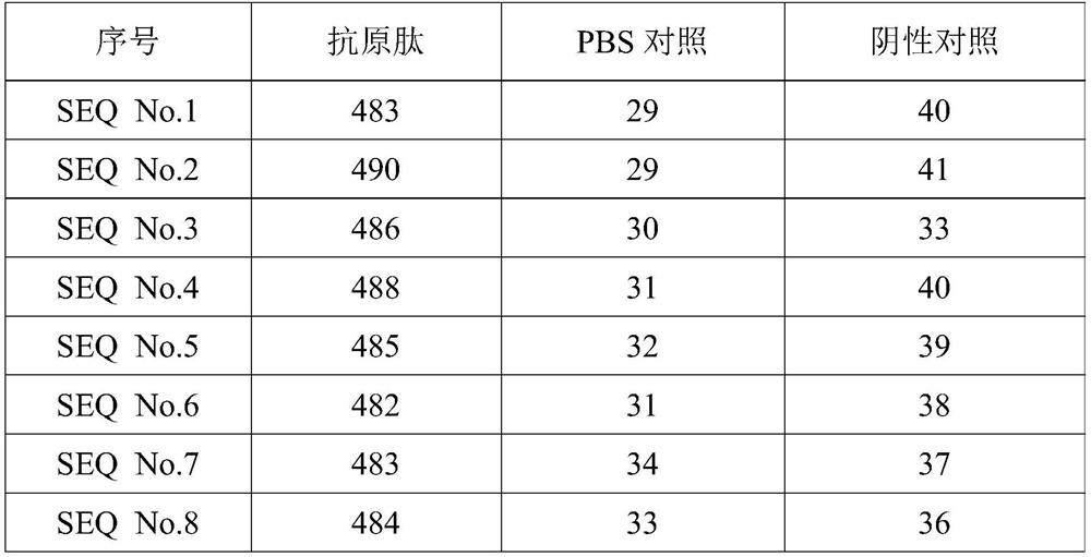 Antigen peptide related to esophageal cancer driver gene mutation and application thereof