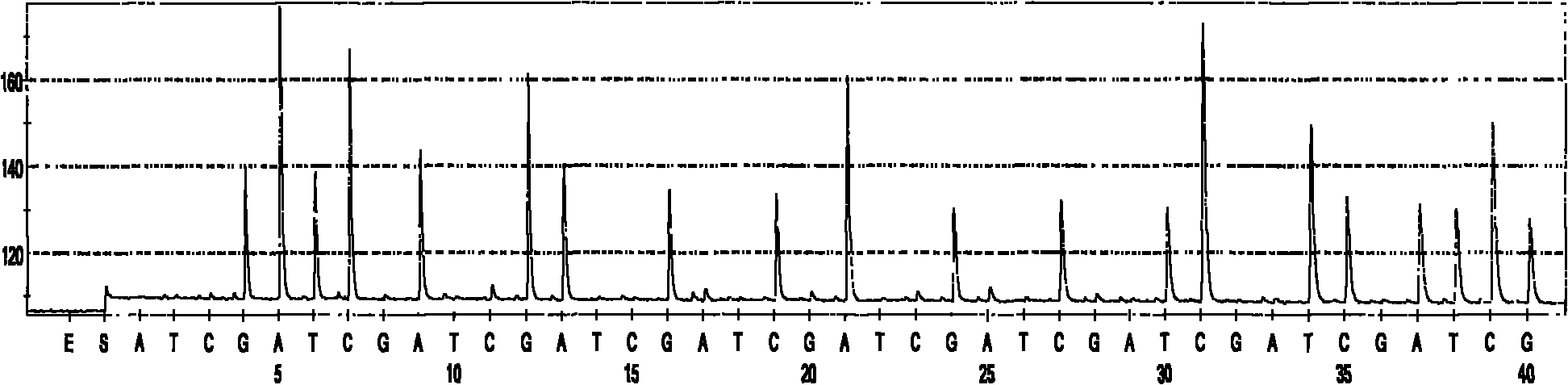 Quick identification kit for bacteria and detection method thereof