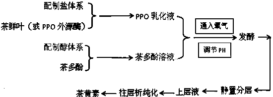 Method for preparing theaflavin