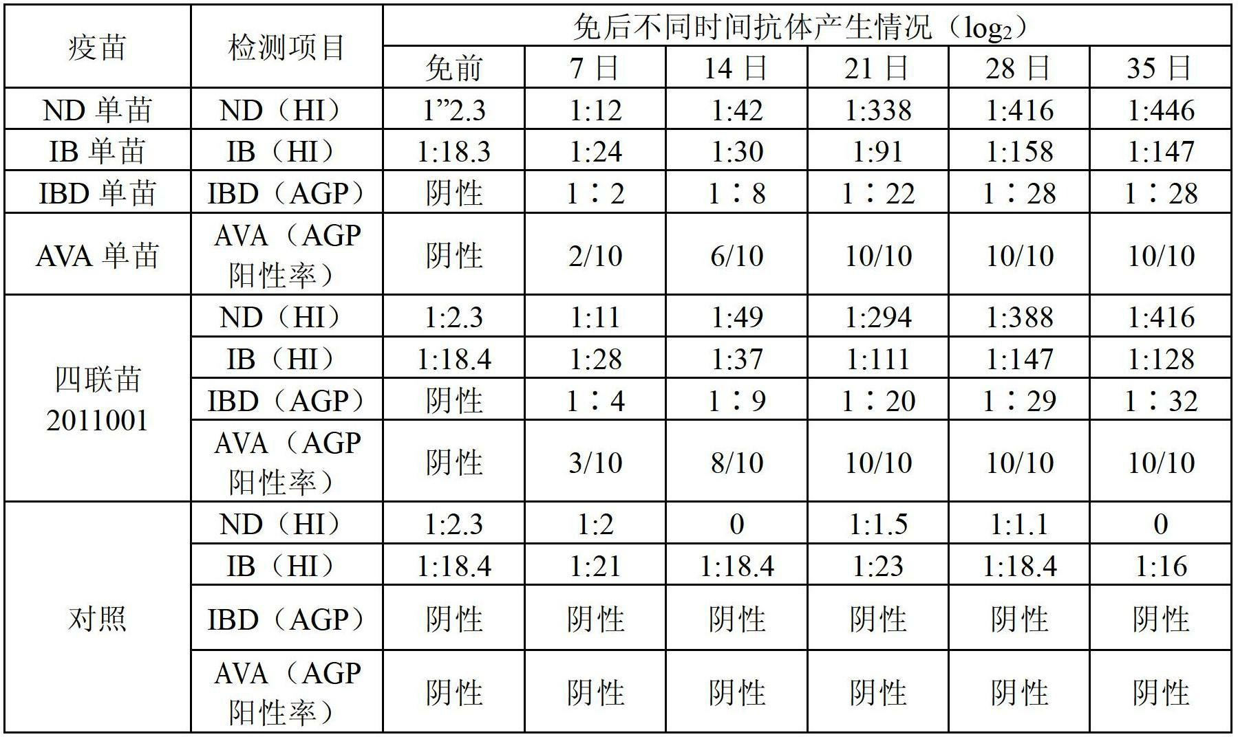 Production method of newcastle disease (ND), infectious bronchitis (IB), infectious bursal disease virus (IBD) and viral arthritis (VA) four-joint inactivated vaccine