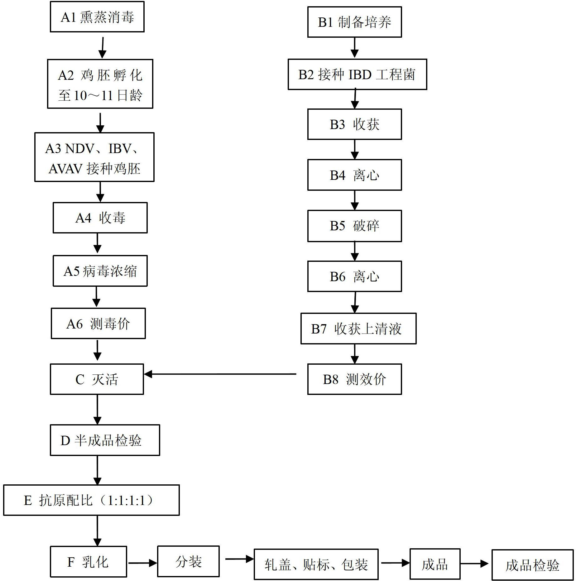 Production method of newcastle disease (ND), infectious bronchitis (IB), infectious bursal disease virus (IBD) and viral arthritis (VA) four-joint inactivated vaccine