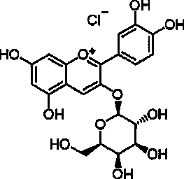 Production process of blueberry extract with more than or equal to 25% of anthocyanin