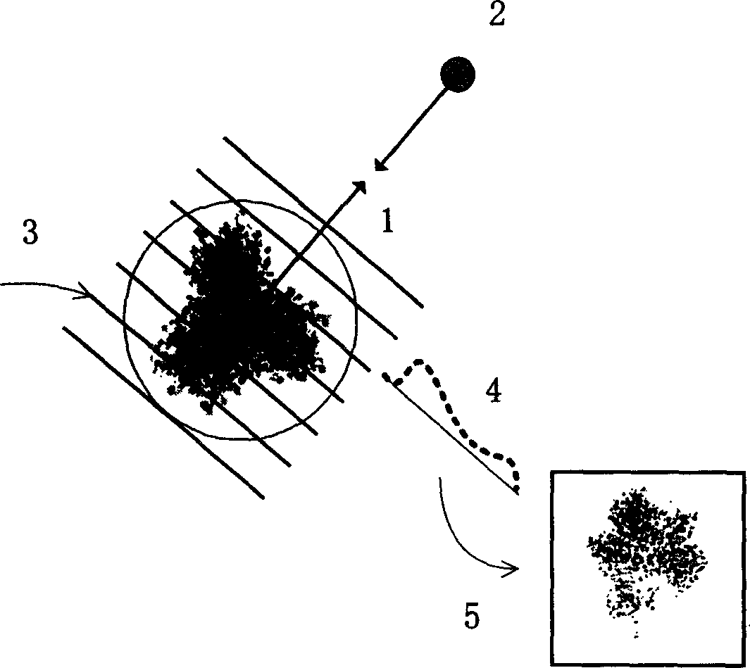 Fast drawing forest method of graded hierarchical assembling depth paste-up atlas