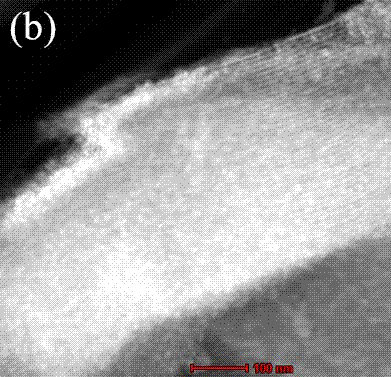 Method for rapidly synthesizing molecular sieve supported nanometer photocatalyst