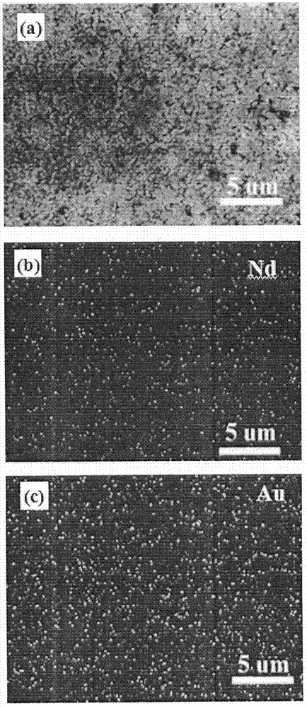 Au nanoparticle modified Nd-doped BiFeO3 film photoelectrode and preparation method thereof