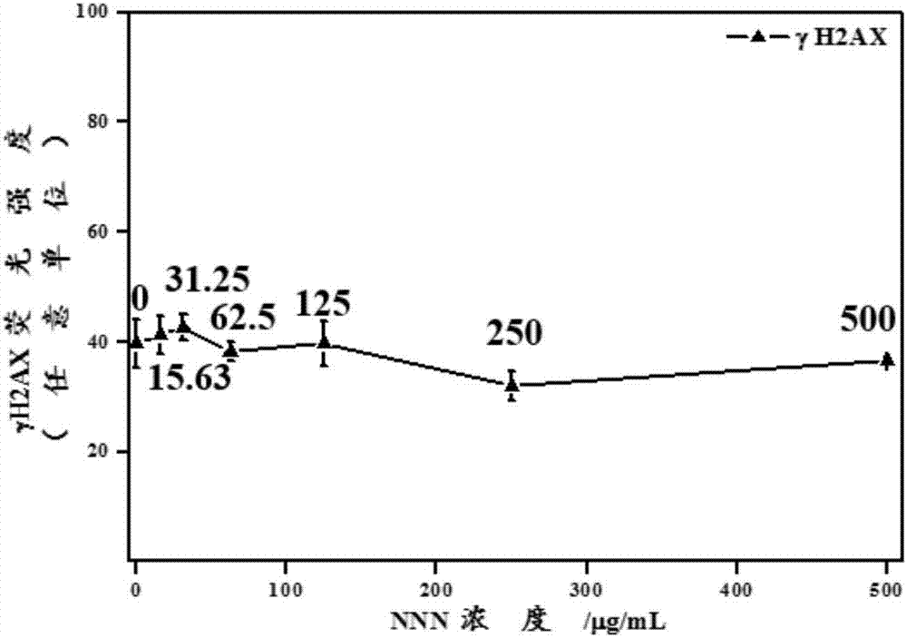 Method for quantitatively analyzing cell DNA damage caused by nitrosamine or nitrosamine metabolite through high-content technology