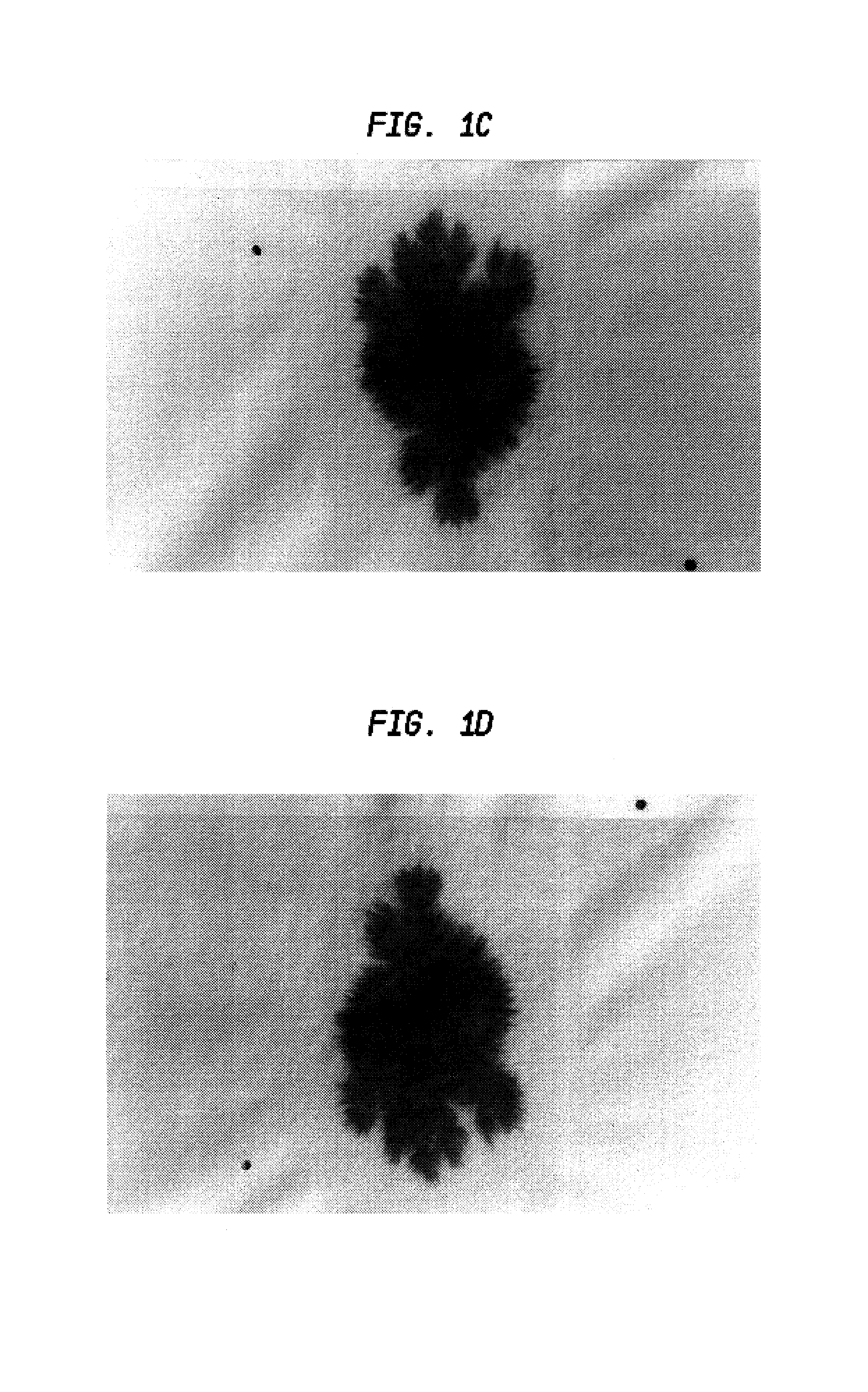 Absorbent sheet exhibiting resistance to moisture penetration