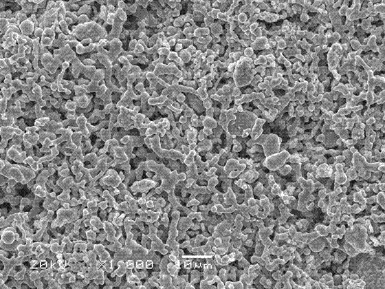 Preparation method of porous nickel base alloy electrolysis hydrogen evolution cathode material