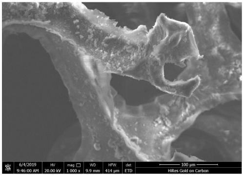 Super-oleophylic and super-hydrophobic sponge for oil-water separation, and preparation method and application of super-oleophylic and super-hydrophobic sponge