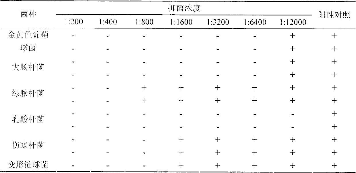 Oil-in-water type elsholtzia oil nano emulsion preparation and method for preparing same