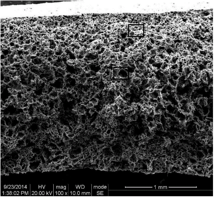 Porous polyurethane film used for artificial skin and having gradient porous structure and preparation method of porous polyurethane