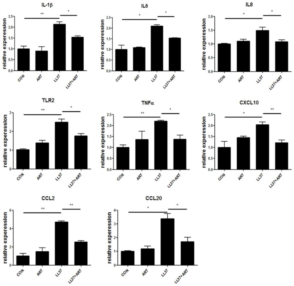 Construction method of animal and cell models for improving rosacea inflammation by artemisinin