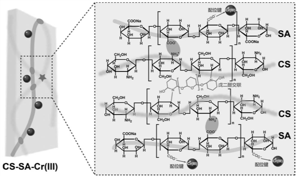 Chromium-containing tannery wastewater treatment and resource utilization method based on natural biomass hydrogel