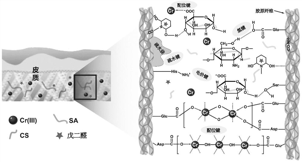 Chromium-containing tannery wastewater treatment and resource utilization method based on natural biomass hydrogel