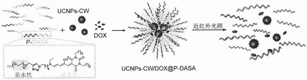 Nano-micelles activated by short-time near-infrared illumination for rapidly releasing medicines