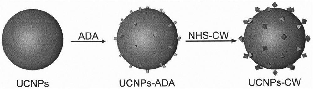 Nano-micelles activated by short-time near-infrared illumination for rapidly releasing medicines