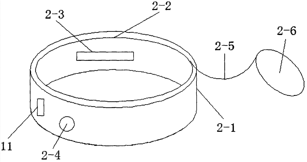 Novel intelligent pain measurement instrument