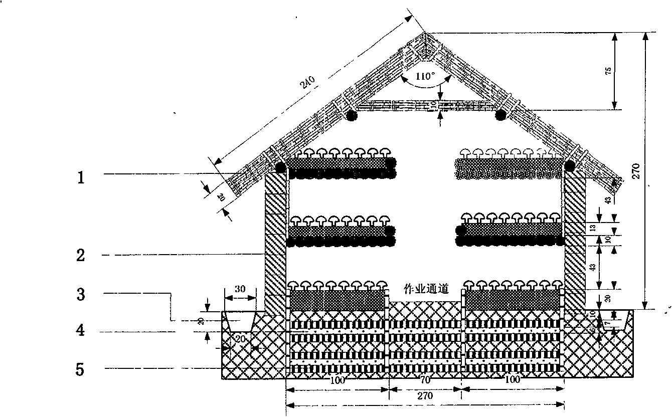 Method for building simple bisporous mushroom cultivation house on deep groove for improving alkaline land