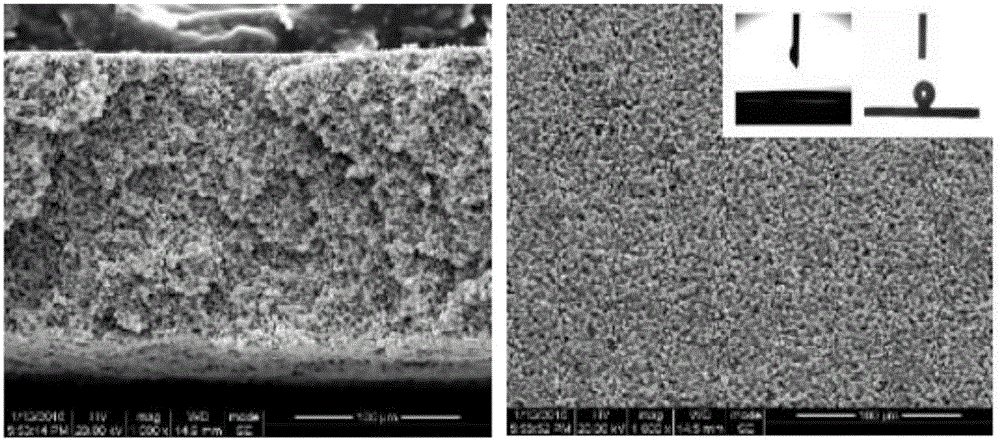 Superhydrophilic and underwater superoleophobic calcium carbonate hybrid membrane, preparation method and application