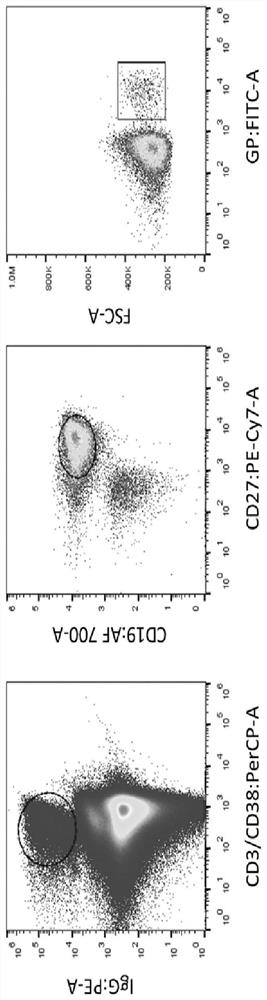 Anti-ebov monoclonal antibody 5e9 with unique binding site and its application