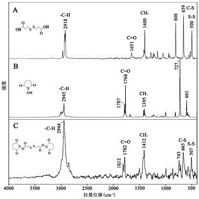 A kind of gold nanoparticle complex with the effect of inhibiting nerve cell apoptosis and its application