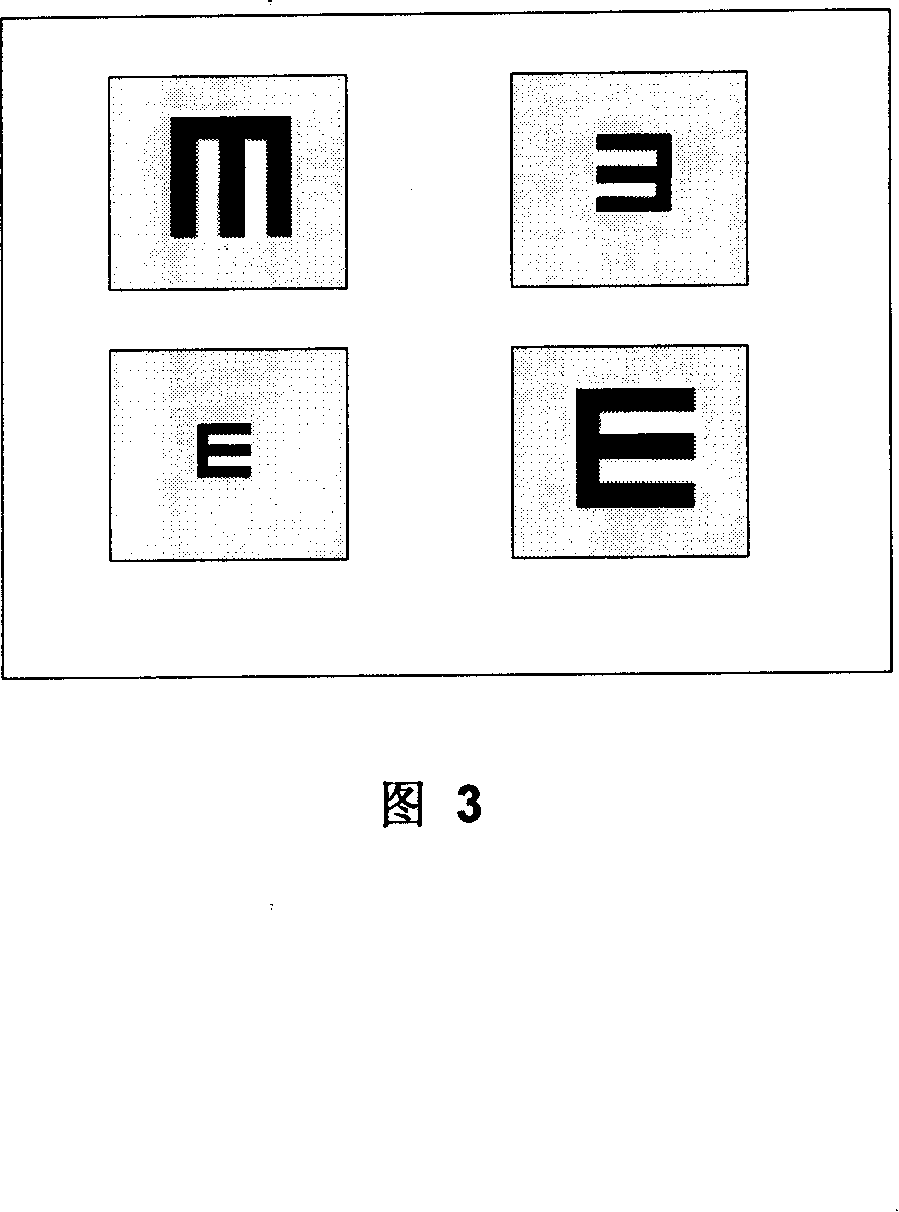 Mutual acting staring vision-training system and method