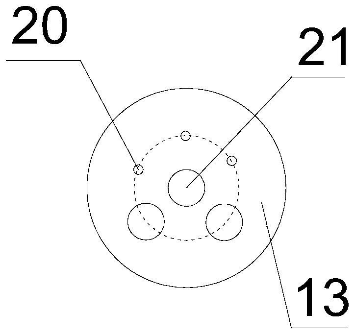 Fruit sorting device