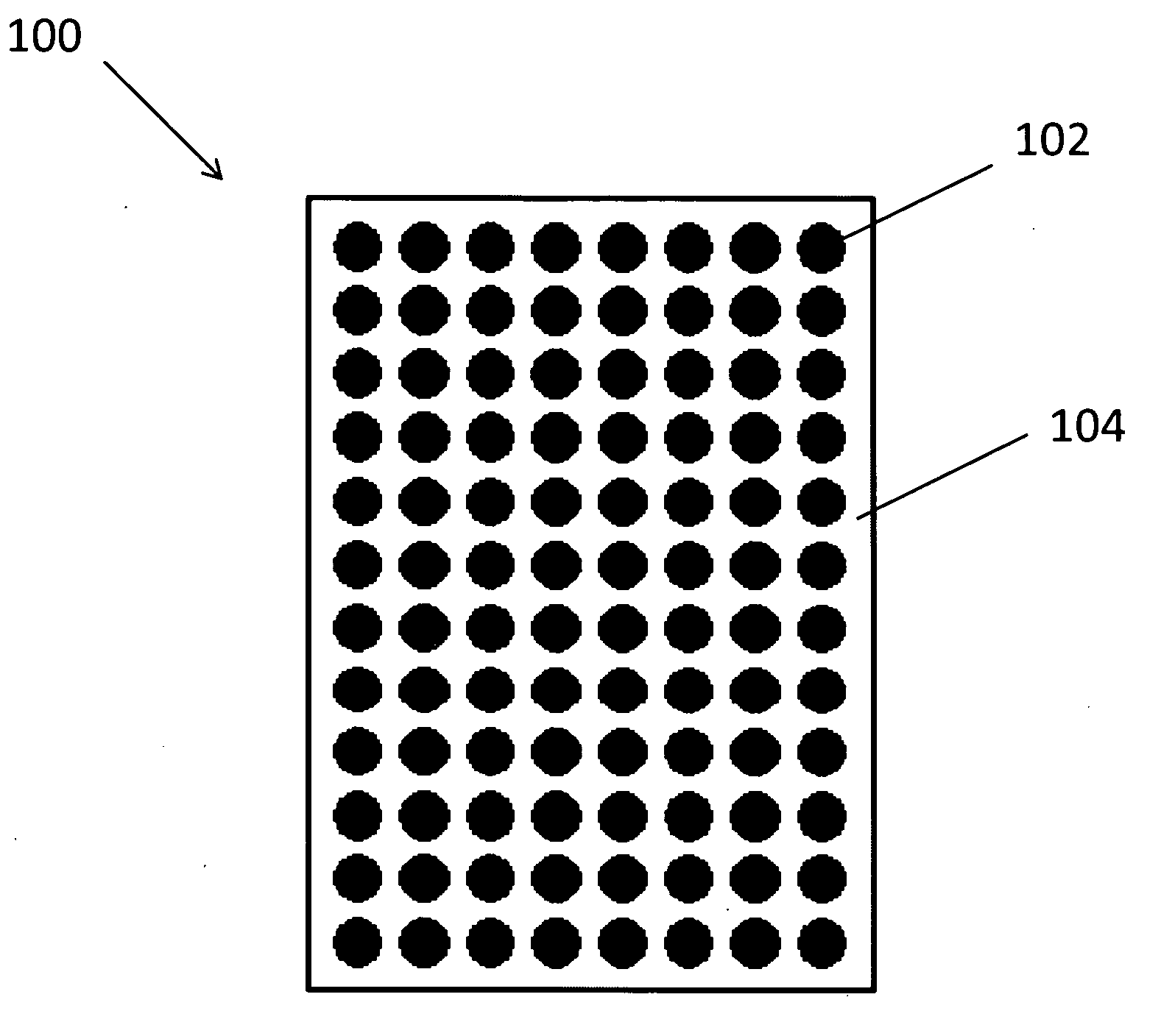 Identification of discriminant proteins through antibody profiling, methods and apparatus for identifying an individual