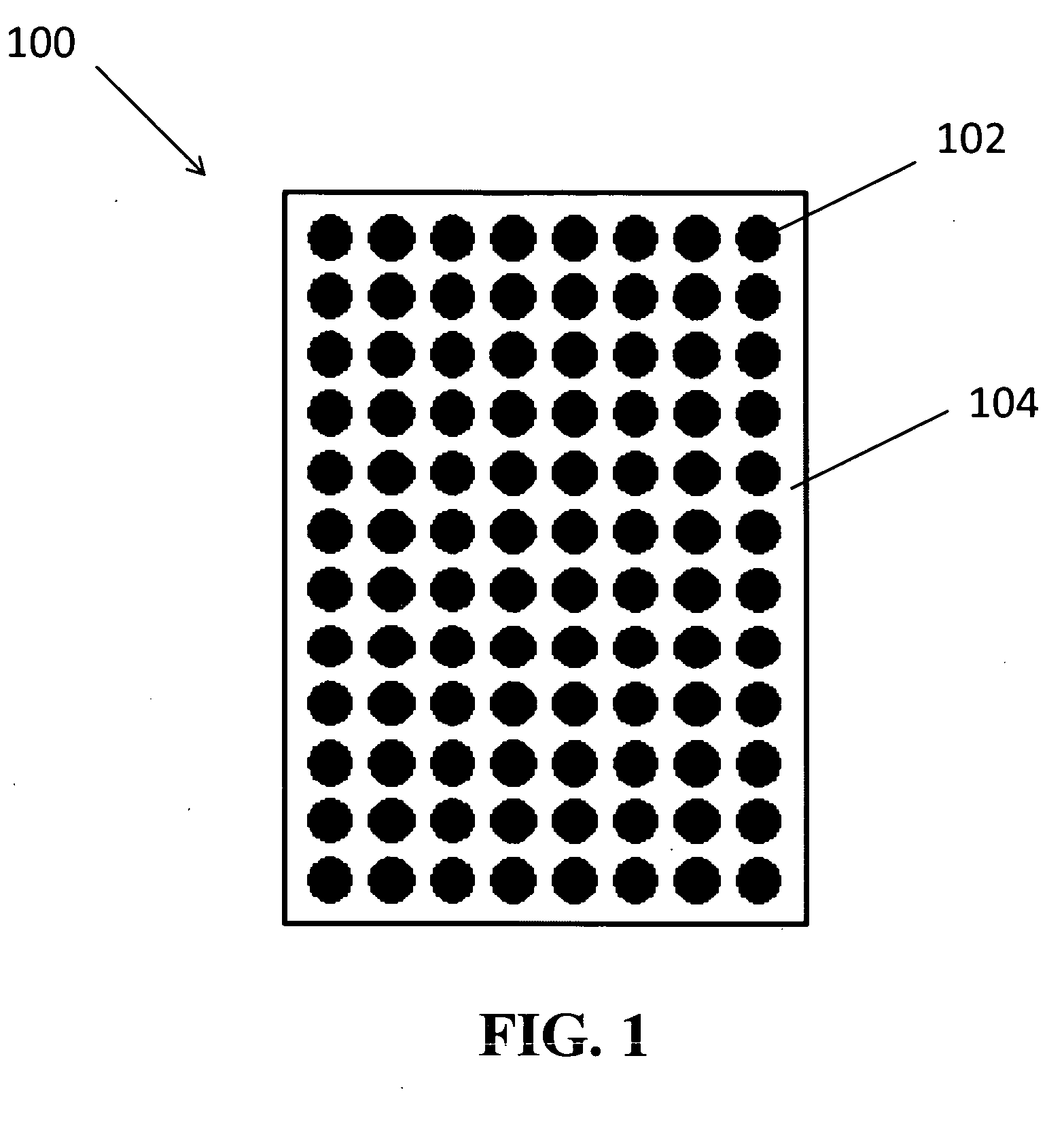 Identification of discriminant proteins through antibody profiling, methods and apparatus for identifying an individual