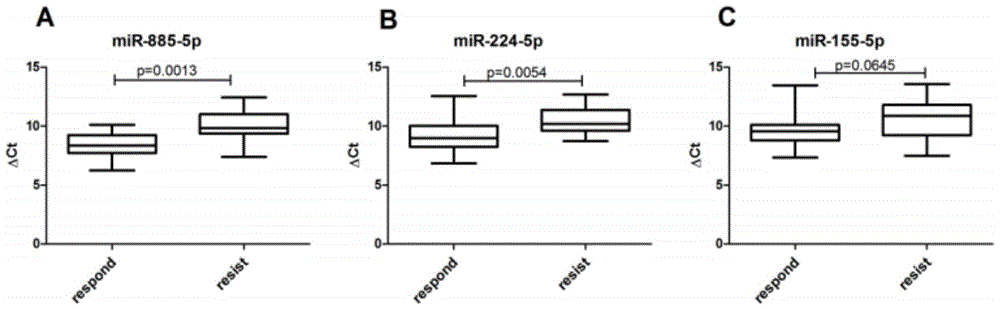 Application of mir‑885‑5p and mir‑224‑5p in drug preparation