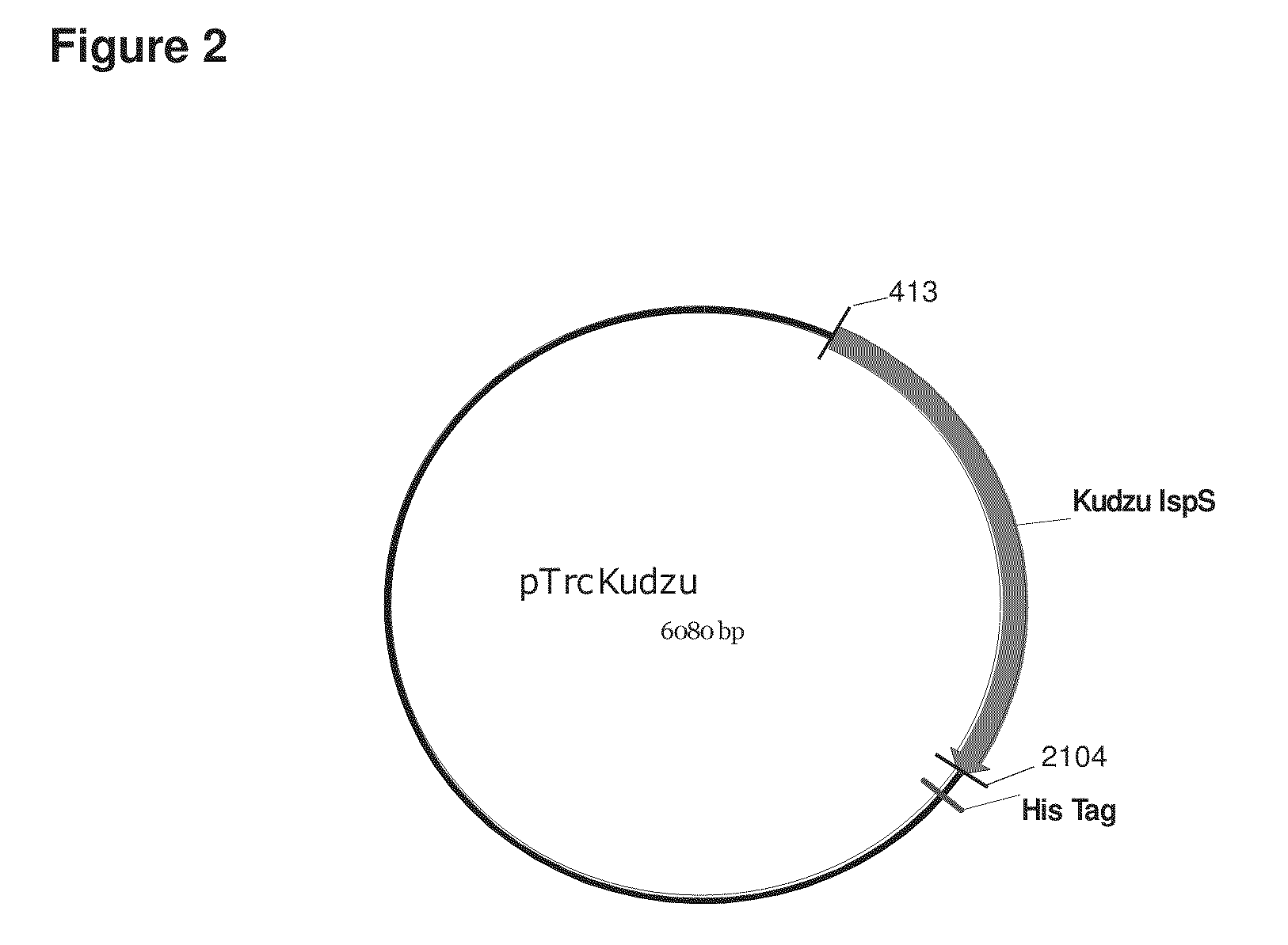 Conversion of prenyl derivatives to isoprene