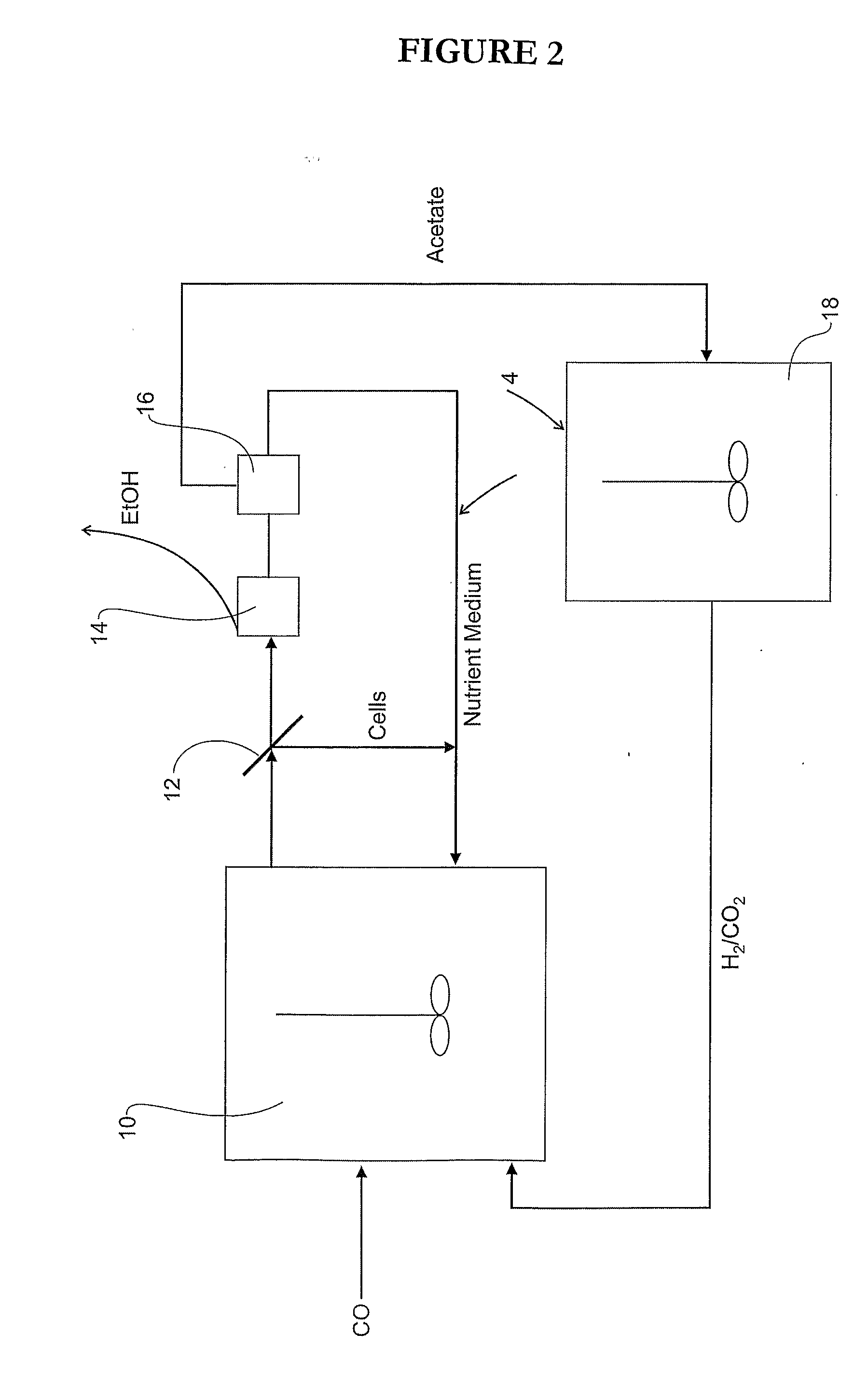 Microbial Fermentation of Gaseous Substrates to Produce Alcohols