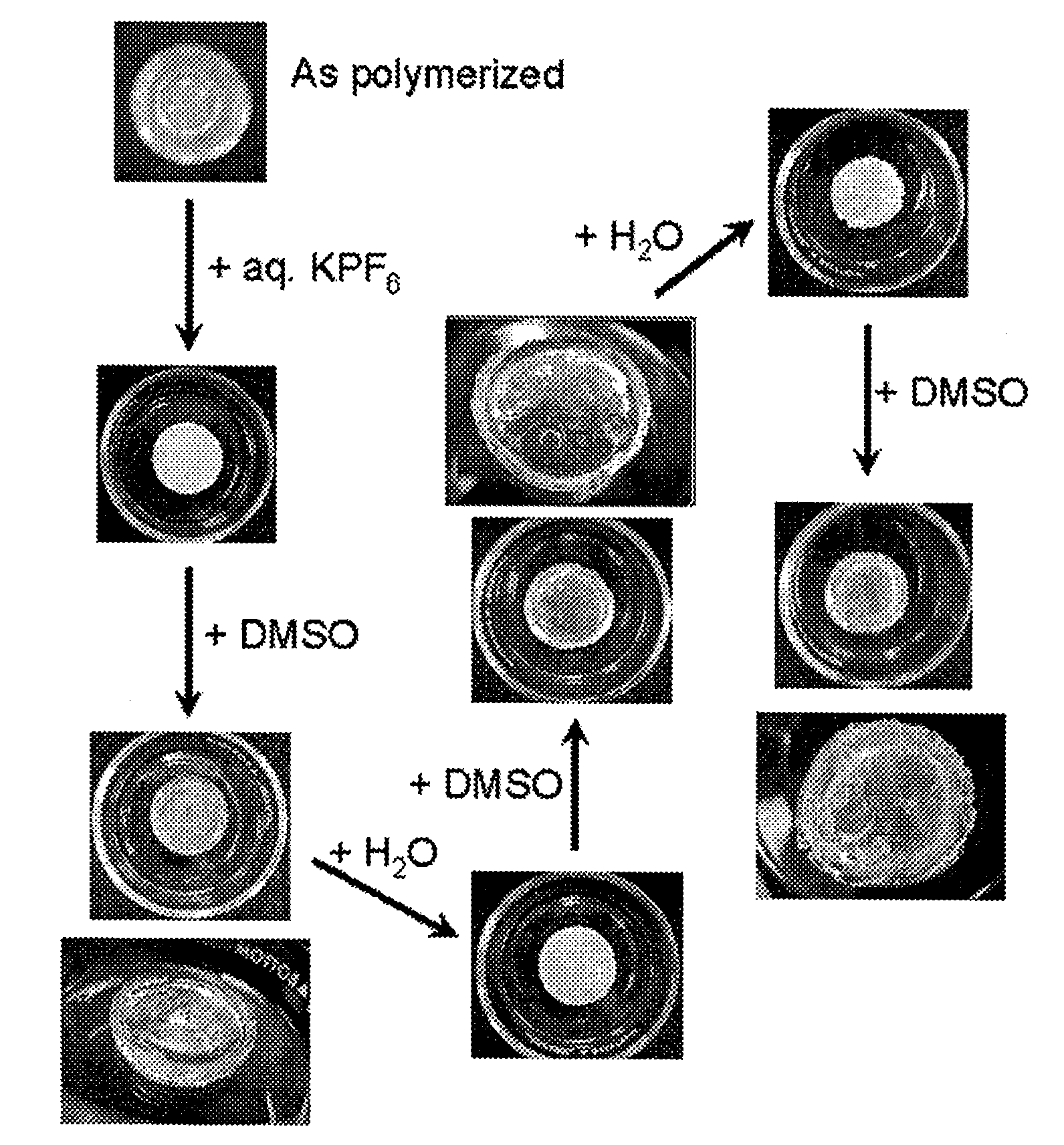 Nanoporous and microporous solvogels and nonolatexes by microemulsion polymerization