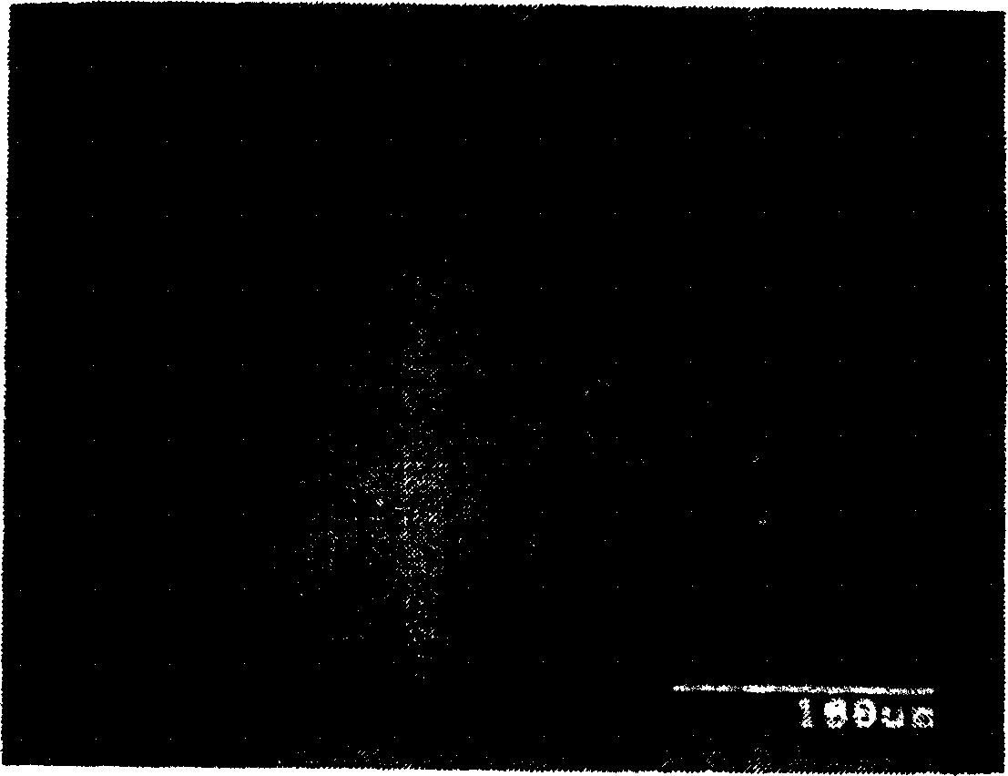 Filled skutterudite-based alloy, production method thereof and thermoelectric conversion device fabricated using the alloy